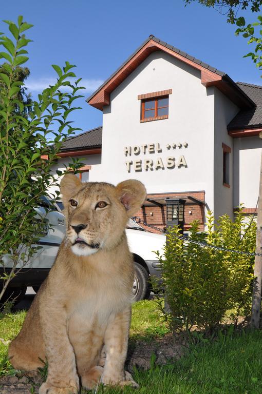 Hotel Terasa Frydek-Mistek Exterior photo